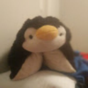 Meet your Posher, Eddie